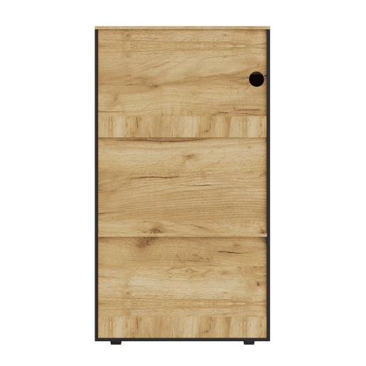 Armário de armazenamento moderno PB com LED de 16 cores - 3 prateleiras fixas, 2 ajustáveis, portas de vidro - Preto, Natural Armário de armazenamento moderno PB com LED de 16 cores - 3 prateleiras fixas, 2 ajustáveis, portas de vidro - Preto, Natural