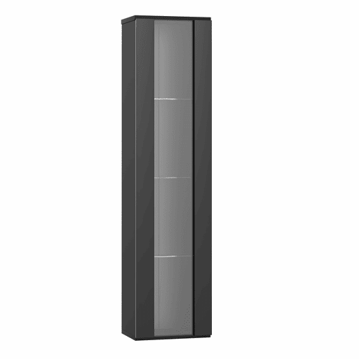 Vitrine multifuncional 40x29x170 cm - Painel de vidro, luz LED com mudança de cor, controle remoto, design simples - Preto Vitrine multifuncional 40x29x170 cm - Painel de vidro, luz LED com mudança de cor, controle remoto, design simples - Preto