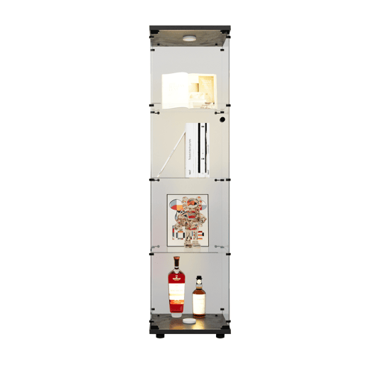 Vitrina de cristal con iluminación LED, 4 estantes y puerta, vitrinalibrería de pie para salón, dormitorio y oficina, 164 x 42,5 x 36,3 cm, color negro. Vitrina de cristal con iluminación LED, 4 estantes y puerta, vitrinalibrería de pie para salón, dormitorio y oficina, 164 x 42,5 x 36,3 cm, color negro.