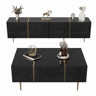 Conjunto de móvel de TV e mesa de centro - acabamento moderno de alto brilho - Preto