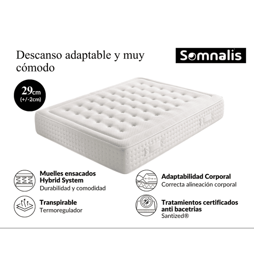 Colchão visco molas ensacadas GRAND PREMIUM 200x200cm SOMNALIS 31cm Colchão visco molas ensacadas GRAND PREMIUM 200x200cm SOMNALIS 31cm