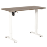 Vinsetto Secretária elétrica de pé Mesa ajustável em altura para escritório com 4 teclas de memória automática inteligente 120x60x72-116 cm moldura branca