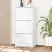Armario de Zapato MDF y Plástico HOMCOM 60 Armario de Zapato MDF y Plástico HOMCOM 60 Blanco