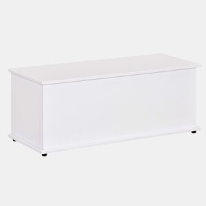 HOMCOM Baú de Armazenamento, Banco de Armazenamento com Dobradiça de Segurança, Estilo Moderno, para Entrada, Quarto, Sala de Estar, 100x40x40 cm, Branco