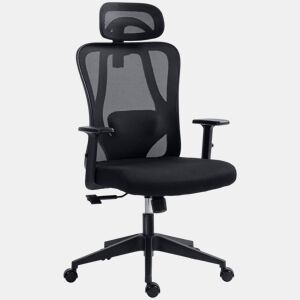 Vinsetto Cadeira de Escritório com Apoio para os Braços 2D Cadeira de Escritório com Altura Ajustável Apoio para a Cabeça Suporte Lombar Alto 67x64x117-127cm Preto