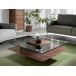 ANGEL CERDA Mesa centro cristal y nogal ANGEL CERDA Mesa centro cristal y nogal Nogal