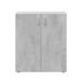 Armario Multiusos 2 puertas bajo Armario Multiusos 2 puertas bajo Blanco/ Gris