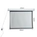 Pantalla del Proyector Eléctrica Tela, Metal HOMCOM Pantalla del Proyector Eléctrica Tela, Metal HOMCOM Blanco