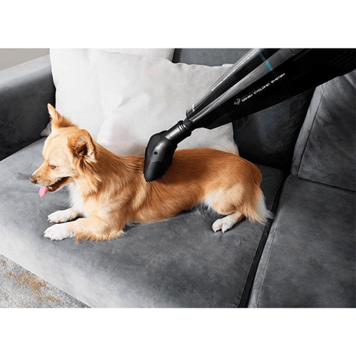 Cecotec Aspirador de mão com bateria de Ião-Lítio 22,2 V. Para sólidos e líquidos. Acessório para pelos de animais.