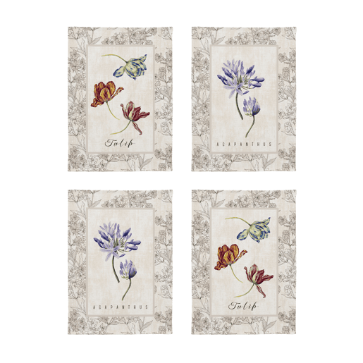 Conjunto de 4 panos de cozinha ZAHIR begeverdevermelho 50x70 cm
