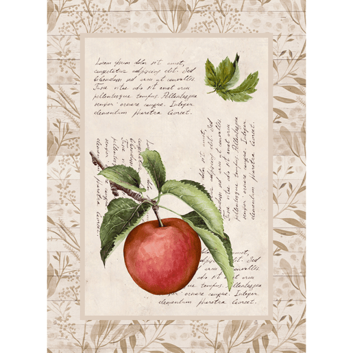 Conjunto de 4 panos de cozinha VINTAGE FRUITS begevermelho 50x70 cm