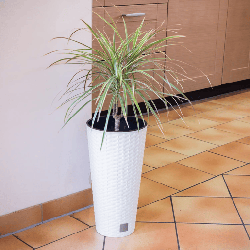 Vaso Rato 64 litro com Inserção 40 x 40 x 76,3 cm em branco Vaso Rato 64 litro com Inserção 40 x 40 x 76,3 cm em branco