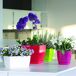 Maceta Mod. Begonya Fresh Quadro Maceta Mod. Begonya Fresh Quadro Blanco
