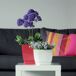 Maceta Mod. Begonya Fresh Quadro Maceta Mod. Begonya Fresh Quadro Blanco