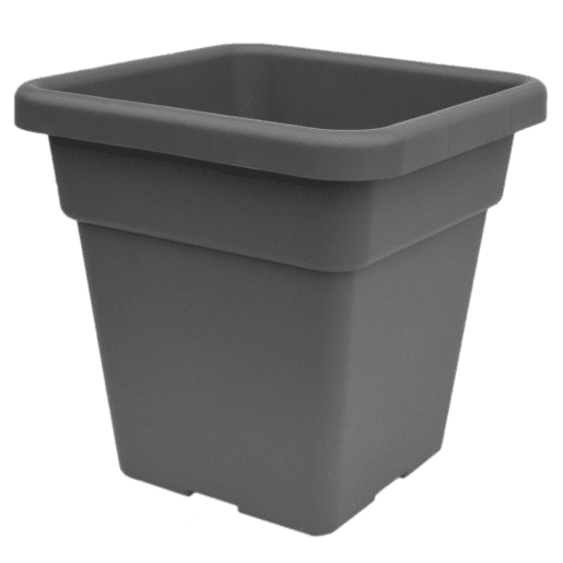 Maxi Motes 38 cm