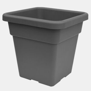 Maxi Motes 38 cm