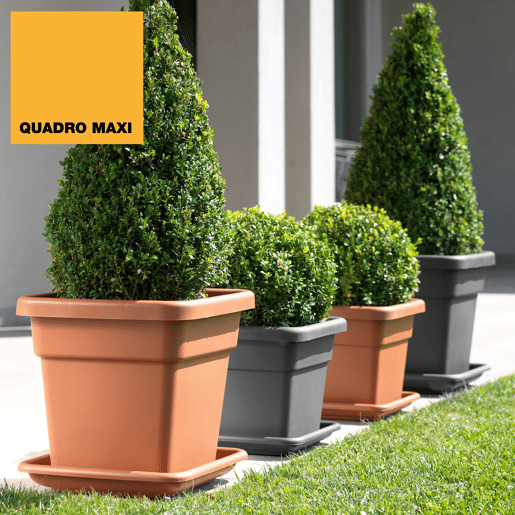 Maxi Motes 38 cm