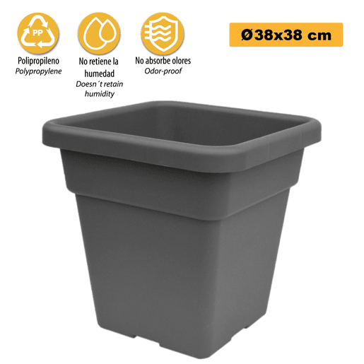 Maxi Motes 38 cm