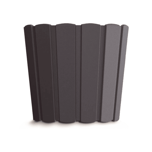 Boardee Basic 0.8L