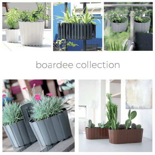 Boardee Basic 0.8L