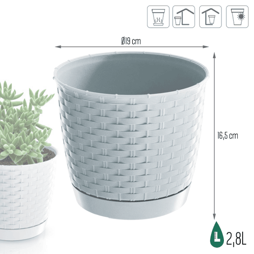 Rounlla Rodada 2,8L