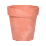 Terracota