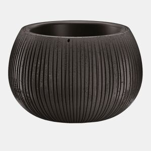 Prosperplast Bowl Plastic With Black Cement Color Deposit, 16,1 (alto) x 23,8 (largura) x 23,8 (profundo) CMS