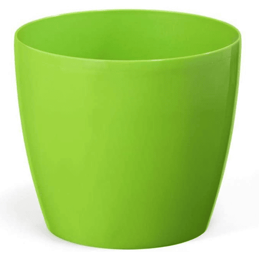 360 mm Magnolia Maceter - Verde claro 360 mm Magnolia Maceter - Verde claro