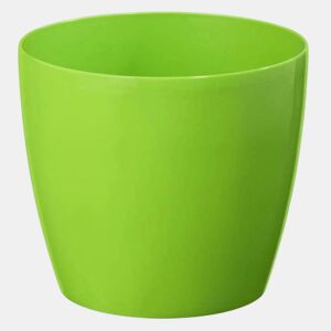 360 mm Magnolia Maceter - Verde claro