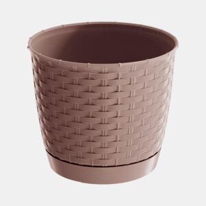Rounlla Rodada 1,2L