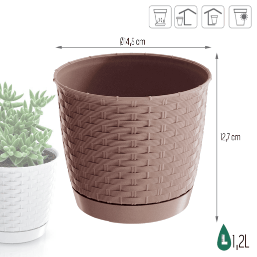 Rounlla Rodada 1,2L