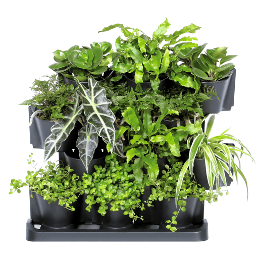 Maceter Vertical Prosperplast Cascade Garden Of Plastic In Antracite Color 68,5 (Comprimento) X 19 (Largura) X 54,6 (Alto) Cm