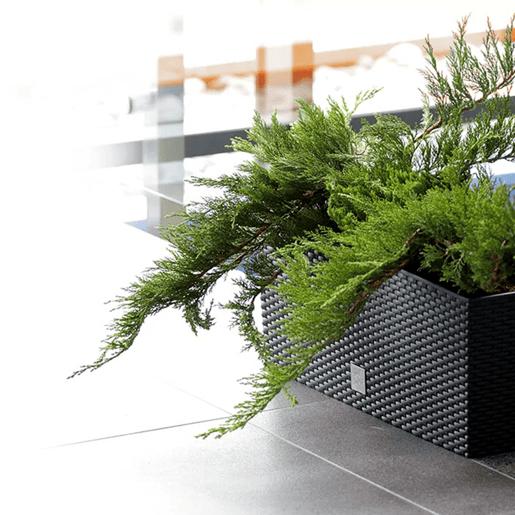 2 17 -Liter Unidades De Jardineiro Retangular Com Coro -Rogia Antracite 52 X 20 X 19 Cm