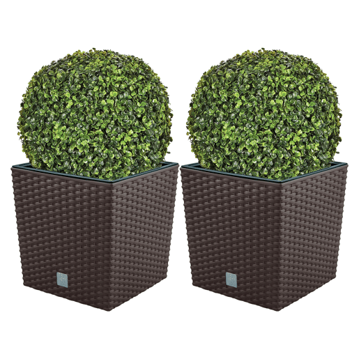 Conjunto De Moto Duplo 32 Litros Com Cubilete Para Plantar Em Cores De Chocolate 33 X 33 X 33 Cm + Boj Bola Diâmetro 36 Cm