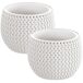 2x Maceta redonda con deposito Splofy Bowl 2x Maceta redonda con deposito Splofy Bowl Blanco