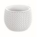 2x Maceta redonda con deposito Splofy Bowl 2x Maceta redonda con deposito Splofy Bowl Blanco