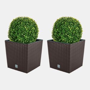 Conjunto De Moto Duplo 32 Litros Com Cubilete Para Plantar Em Cores De Chocolate 33 X 33 X 33 Cm + Diâmetro Da Caixa De Caixa 27 Cm