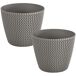 2x Maceta redonda 11,5L Prosperplast Splofy 2x Maceta redonda 11,5L Prosperplast Splofy Gris