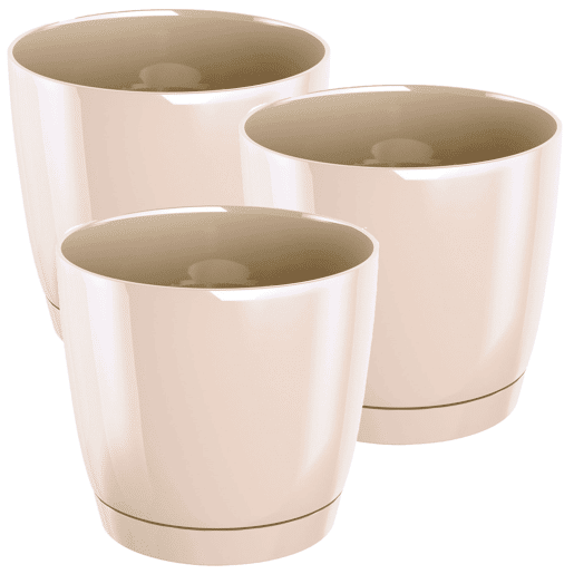 3X Rounte Rounte Plástico Pet Cubi Round P No Crem Cor 12 (Comprimento) X 12 (Largura) X 11 (Altura) Cm
