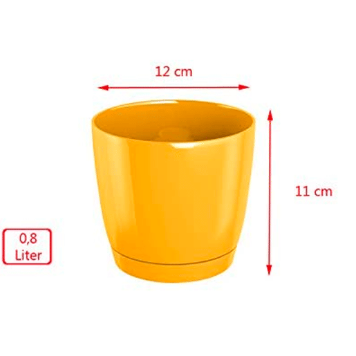 3X Rounte Rounte Plástico Pet Cubi Round P No Crem Cor 12 (Comprimento) X 12 (Largura) X 11 (Altura) Cm