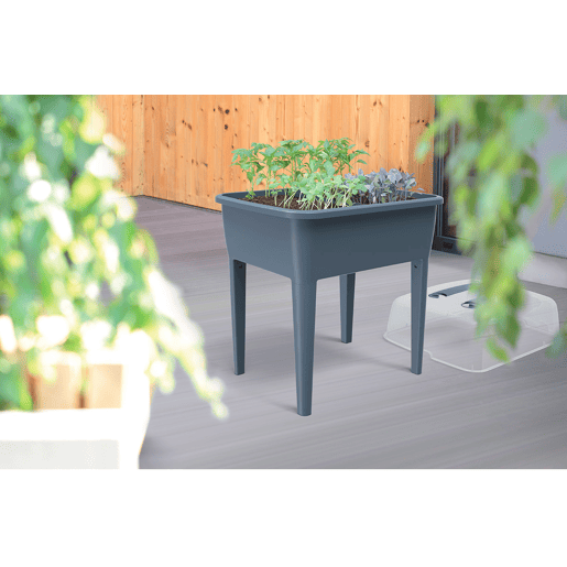 High Gardener 83 L, com tampa de policarbonato, para proteger suas plantas, Prosperplast Respa Aplanr Plastic Set em Antracite Color, 96,3 (alta