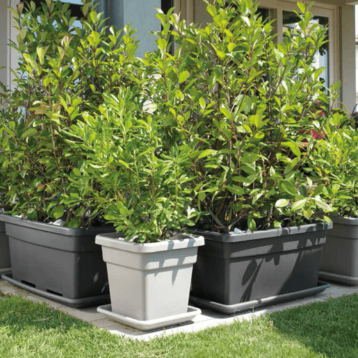 Molheira Maxi Pot 100 cm.