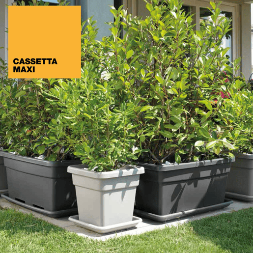 Molheira Maxi Pot 80 cm. Molheira Maxi Pot 80 cm.