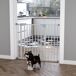Barrera Seguridad Mascota Metal, Plástico PawHut Barrera Seguridad Mascota Metal, Plástico PawHut Blanco