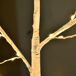 Árbol Abedul LED PP y Acero Outsunny, hogar - decoración hogareña Árbol Abedul LED PP y Acero Outsunny, hogar - decoración hogareña Blanco