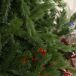 Árbol de Navidad PE PVC y Metal HOMCOM Árbol de Navidad PE PVC y Metal HOMCOM Verde