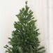 Árbol de Navidad PE PVC y Metal HOMCOM Árbol de Navidad PE PVC y Metal HOMCOM Verde