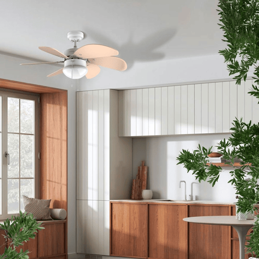 Cecotec Ventoinha de teto de 50 W e 36u2019u2019.