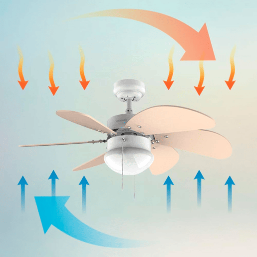 Cecotec Ventoinha de teto de 50 W e 36u2019u2019.