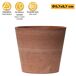 Maceta Tipo Cono Truncado Ø 07 Cm Maceta Tipo Cono Truncado Ø 07 Cm Terracota
